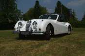 Jaguar XK 140