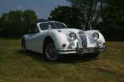 Jaguar XK 140